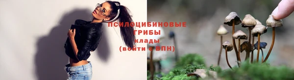 винт Белоозёрский