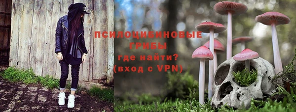 ПСИЛОЦИБИНОВЫЕ ГРИБЫ Белокуриха