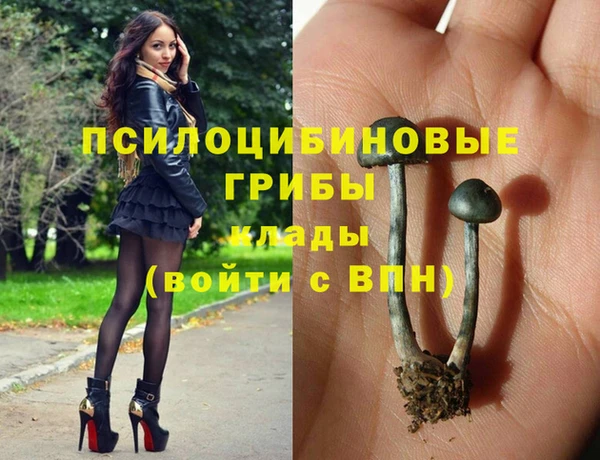 ПСИЛОЦИБИНОВЫЕ ГРИБЫ Белокуриха