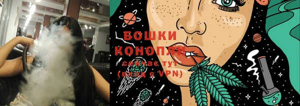ПСИЛОЦИБИНОВЫЕ ГРИБЫ Белокуриха
