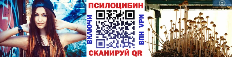 Купить где Баксан Галлюциногенные грибы Cubensis